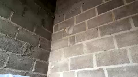 natasha__magics online show from February 1, 5:11 pm