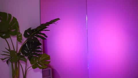 Naty online show from February 26, 8:04 am