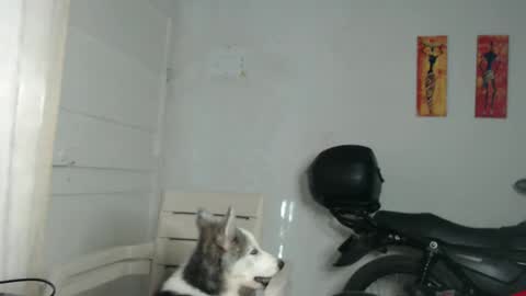 Stella Mcqueen online show from December 31, 12:25 pm