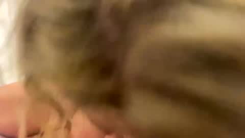 Naughtycouple2026 online show from April 24, 2:03 am