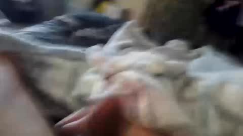 Snapshot of naughtyfelons6969 chatting on October 4, 9:07 am naughtyfelons6969 online show from October 4, 9:07 am