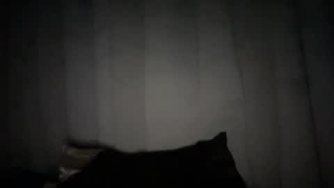 Snapshot of naughtyrosecum chatting on January 6, 10:24 am Rose Wilson online show from January 6, 10:24 am