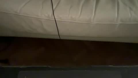 Snapshot of navigatingtothesky chatting on November 18, 11:48 pm navigatingtothesky online show from November 18, 11:48 pm