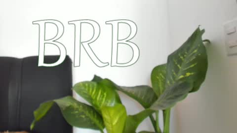 Nayah Williams  - OnlyFans  online show from December 7, 4:36 pm