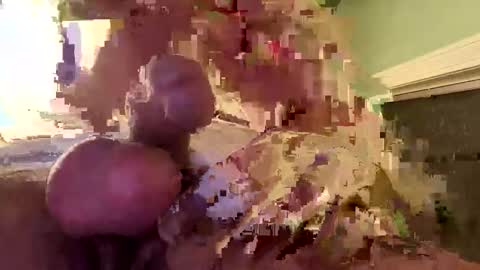 ndsckd online show from December 16, 10:50 am