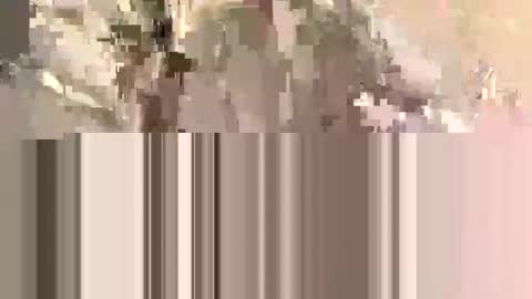 ndsckd online show from September 12, 11:54 am