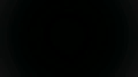 Sebastian online show from November 7, 1:38 am