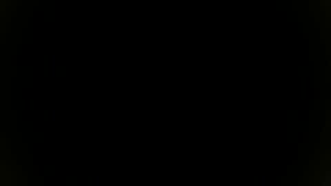 Sebastian online show from November 8, 7:34 pm