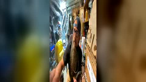 Easy E online show from June 22, 3:47 am