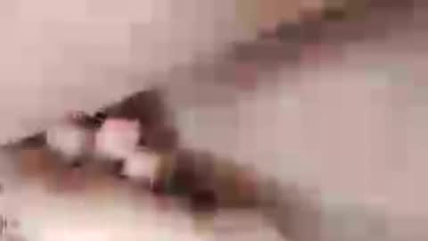 Snapshot of negrett_ chatting on June 1, 5:03 pm negrett_ online show from June 1, 5:03 pm