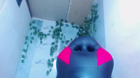 negrita online show from February 12, 11:05 am