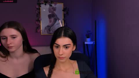 Meow online show from December 15, 10:19 am