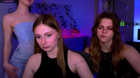 Meow online show from February 21, 12:28 pm