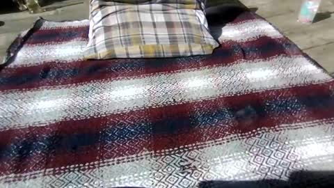 neosohorny online show from April 26, 7:22 pm