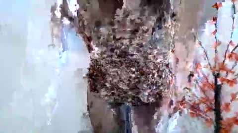 Crystal New online show from January 15, 7:46 am