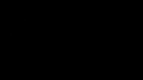 never_forget_this online show from February 14, 2:41 am