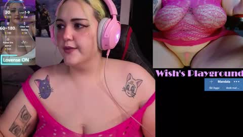 Wishs Playground online show from January 16, 3:54 am