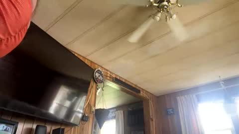 neversaynevrrr online show from November 1, 5:37 pm