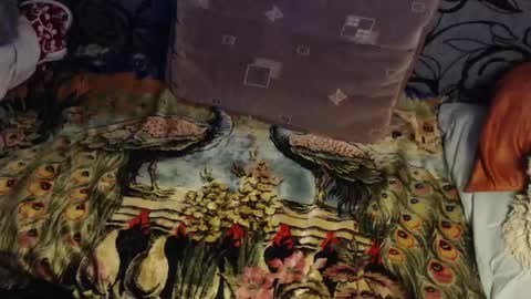 Lilly  online show from April 22, 2:58 am