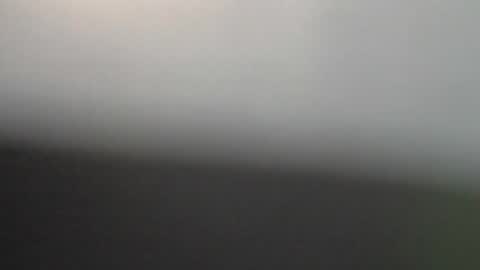 ni983 online show from February 2, 7:56 pm