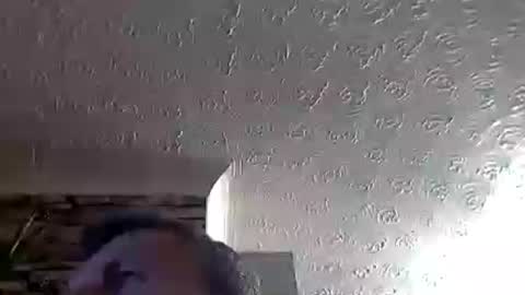 nice_cock8080 online show from July 4, 11:55 pm