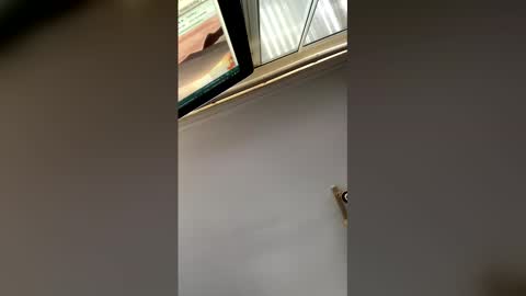 nick stavrou online show from January 17, 5:23 am