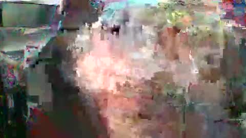 nick stavrou online show from February 16, 4:41 am