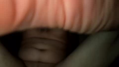 nicholasweber21 online show from October 18, 1:52 am