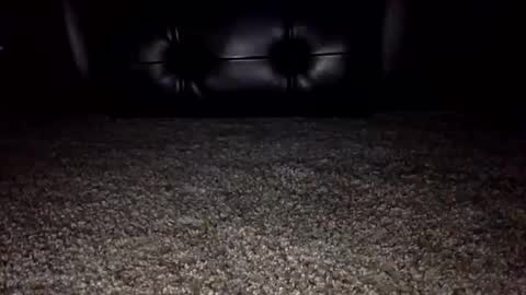 Snapshot of nickk2291 chatting on October 6, 1:25 am nickk2291 online show from October 6, 1:25 am