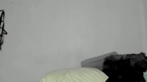 Snapshot of nico_nico_xd chatting on December 13, 6:21 am Nico online show from December 13, 6:21 am