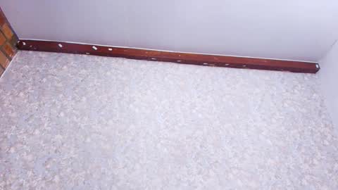 Nicol online show from November 21, 3:05 am