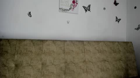 Nicol online show from December 7, 9:17 am