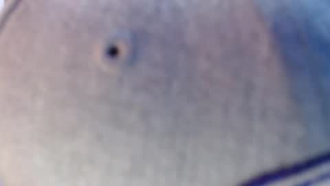 Snapshot of nicolas_torres99 chatting on December 12, 7:19 am nicolas online show from December 12, 7:19 am