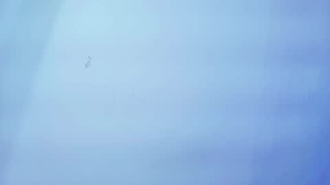 Nicolle online show from January 19, 11:25 am