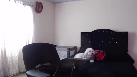 Nicole online show from November 20, 8:08 pm