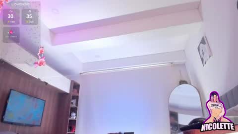 Nicol  online show from April 26, 2:37 pm