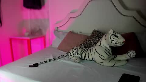 nicole online show from February 5, 3:05 pm