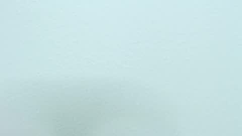 Nilly online show from December 18, 8:20 am