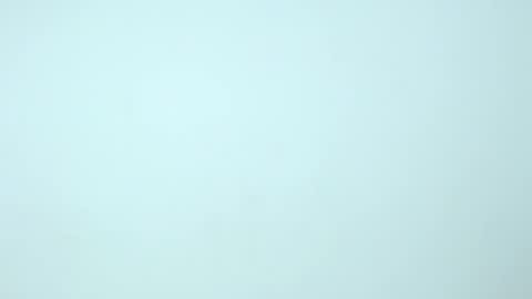 Nilly online show from December 18, 11:24 am