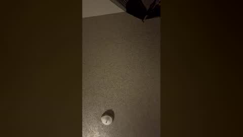 Snapshot of nikkitag93 chatting on December 18, 7:58 am nikkitag93 online show from December 18, 7:58 am