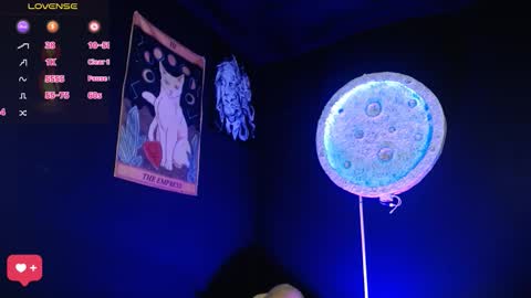 Nikky online show from December 15, 1:15 pm