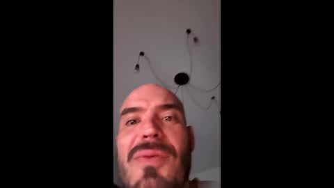 neighbours online show from November 30, 11:31 pm