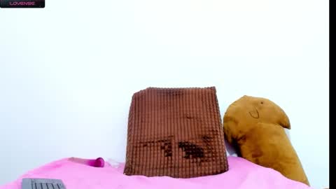 dayan online show from January 14, 3:26 pm