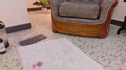 Snapshot of niky_smit chatting on February 16, 2:43 pm  NIKY SMIT  online show from February 16, 2:43 pm