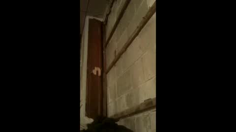 nillapuddin2 online show from January 18, 2:48 am