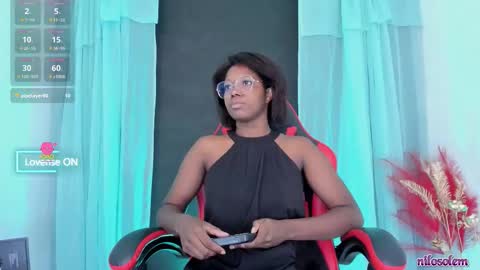 Snapshot of nilosolem12 chatting on November 24, 10:42 pm nilo solem online show from November 24, 10:42 pm