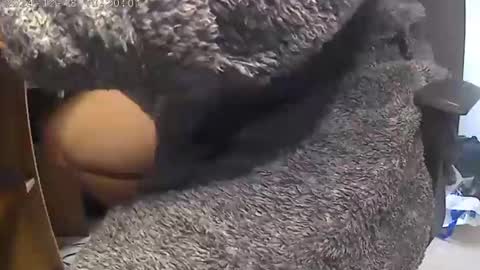 nineinchhard online show from December 18, 10:19 am