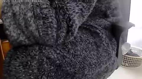 nineinchhard online show from January 6, 11:40 am