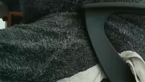 nineinchhard online show from September 23, 9:56 am