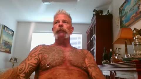 Don online show from November 1, 9:28 pm